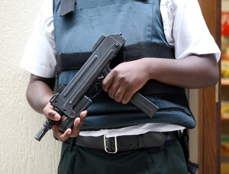 agent, armed, armour-1239350.jpg